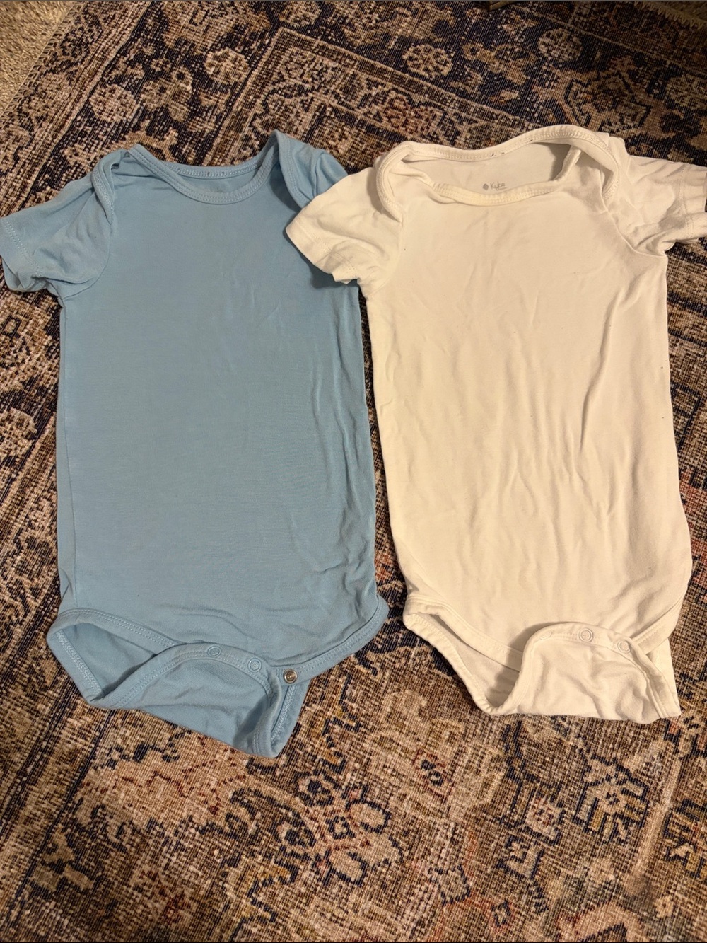 Short Sleeve Bodysuits